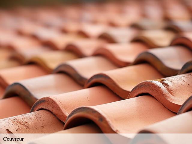 Couvreur 33 Gironde Couvreur Bordeaux 33