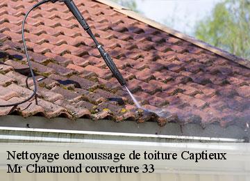 Nettoyage demoussage de toiture  captieux-33840 Mr Chaumond couverture 33