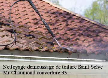 Nettoyage demoussage de toiture  saint-selve-33650 Mr Chaumond couverture 33