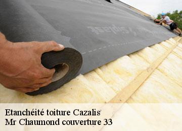 Etanchéité toiture  cazalis-33113 Mr Chaumond couverture 33