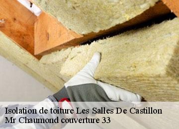 Isolation de toiture  les-salles-de-castillon-33350 Mr Chaumond couverture 33