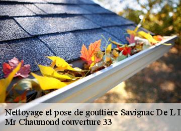 Nettoyage et pose de gouttière  savignac-de-l-isle-33910 Mr Chaumond couverture 33